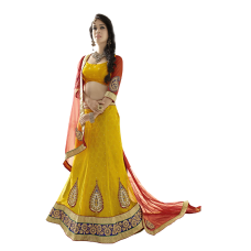 Triveni Marvelous Yellow Colored Border Worked Net Jacquard Lehenga Choli